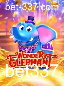 WonderElephant: Uma Imersão no Mundo Encantado dos Elefantes